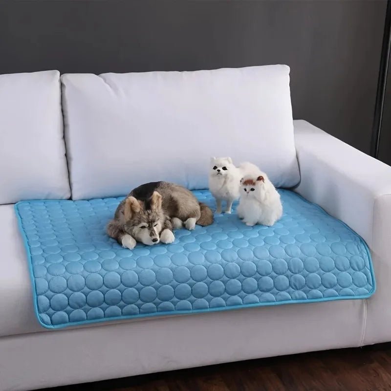 Polymères refroidissants pour animaux de compagnie, lit froid pour animaux de compagnie, extra large pour petits et grands chiens, accessoires pour animaux de compagnie, couverture durable, canapé pour chat, couverture à c - Élite Canine Shop ChicCanin