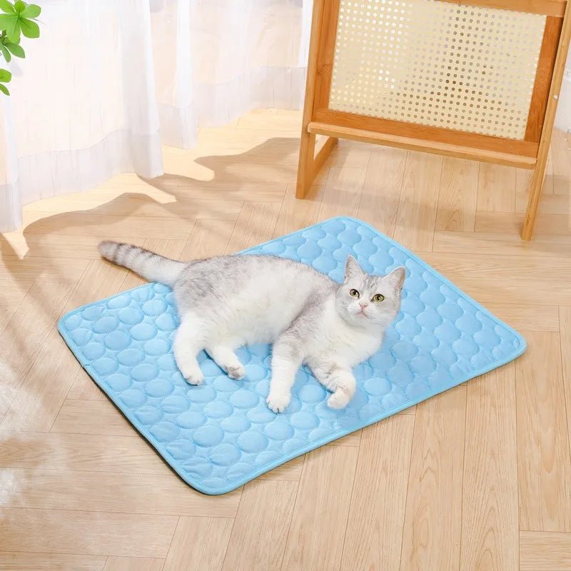 Polymères refroidissants pour animaux de compagnie, lit froid pour animaux de compagnie, extra large pour petits et grands chiens, accessoires pour animaux de compagnie, couverture durable, canapé pour chat, couverture à c - Élite Canine Shop ChicCanin