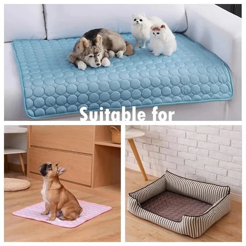 Polymères refroidissants pour animaux de compagnie, lit froid pour animaux de compagnie, extra large pour petits et grands chiens, accessoires pour animaux de compagnie, couverture durable, canapé pour chat, couverture à c - Élite Canine Shop ChicCanin