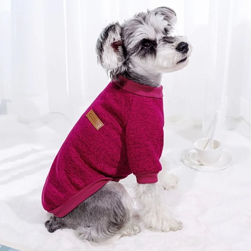Sweats à capuche automne chien pulls mignon chiot, Chihuahua, bouledogue français - Élite Canine Shop Élite Canine Shop